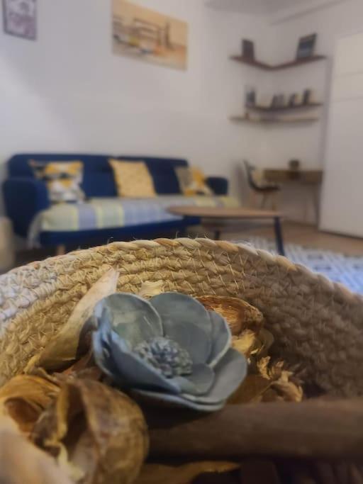 קוליור Appartement T2 Avec Clim Et Wifi, A 50 M De La Plage מראה חיצוני תמונה